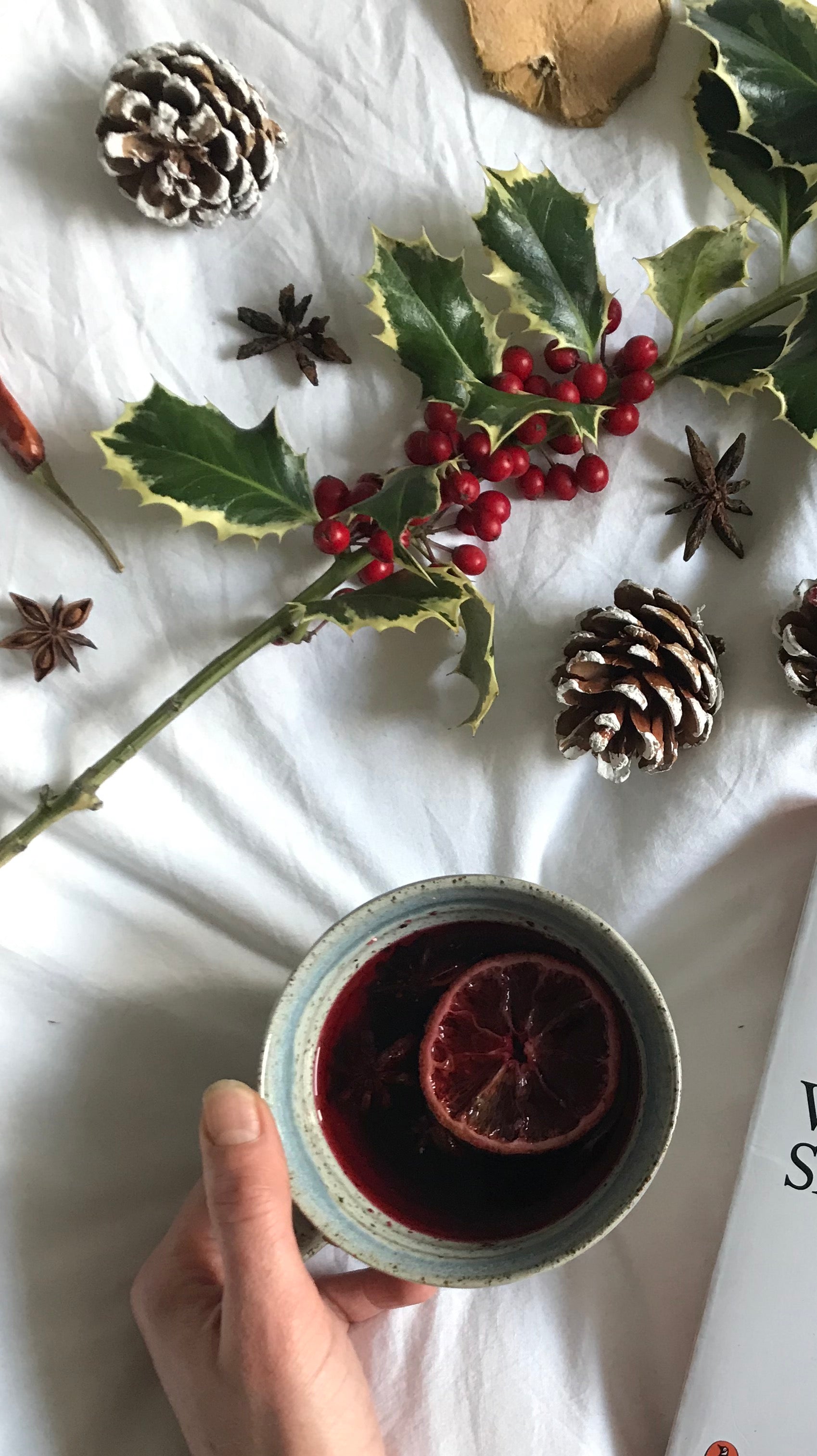 Good Reads for the Holiday Season