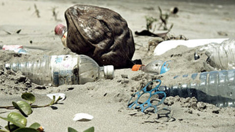 Sustainable resolutions 2019!