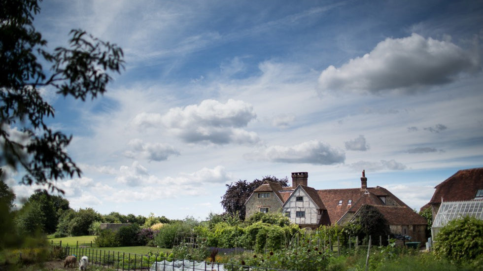 Grittenham Barn Christmas Sale