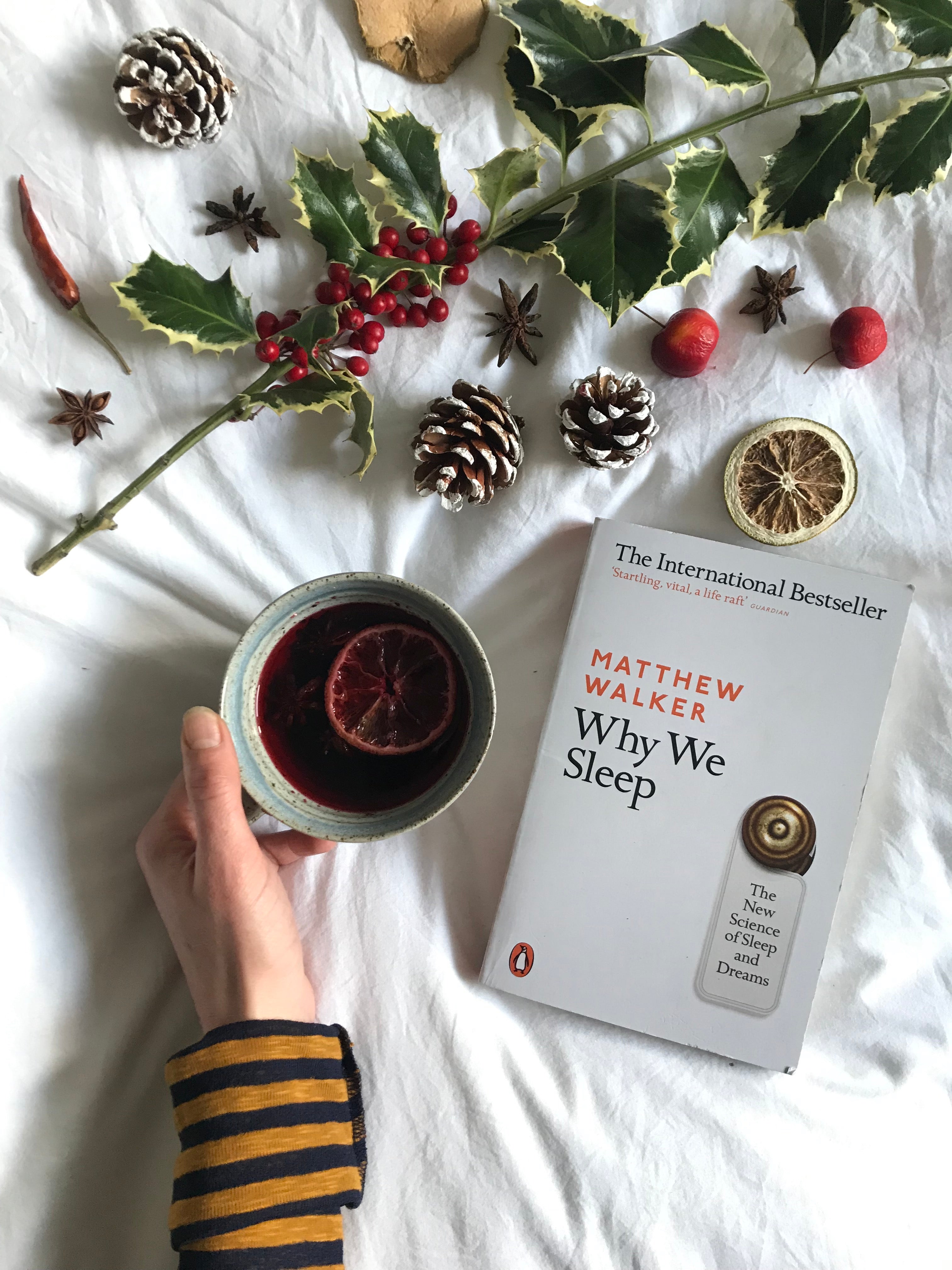 Good Reads for the Holiday Season