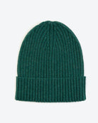 A green wool-ribbed beanie hat with a fold-up cuff.